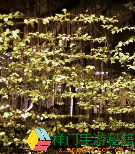 正在阅览 浮躁老头表情包风行网络：从何而来？探求其背面的汉字文明魅力