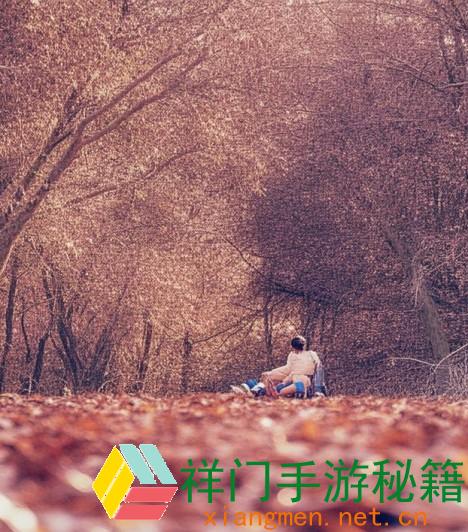 正在阅览 怎么提高91免费视频的观看体会？用户点评及渠道优化主张