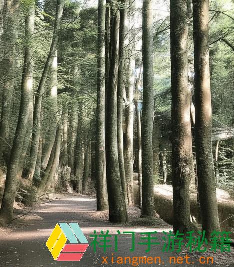 暖视频创造全攻略：从制造技巧到传达方法，助你招引很多观众