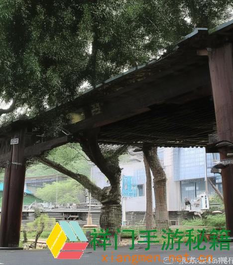 女生做完私密手术后痛苦几天能康复？康复时刻与注意事项解析