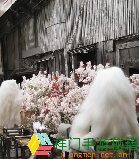 少女视频观看片TV哔哩哔哩：探究年青女人偏好的内容与渠道互动趋势