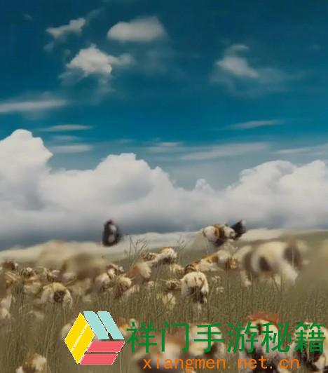 魅影4.0.1版别晋级有什么优势？用户反应怎么：值得一试的功用和优化剖析