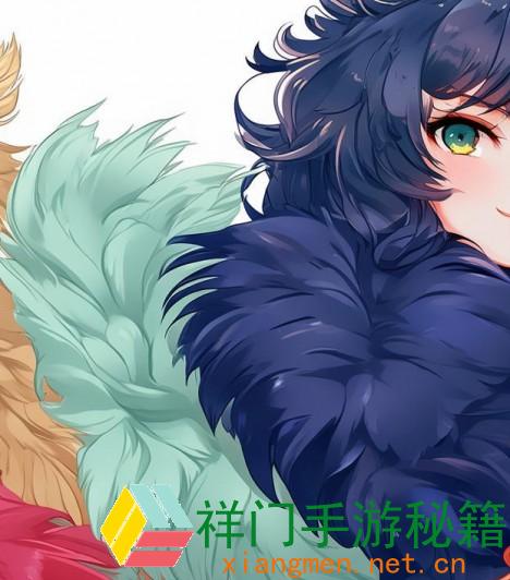 什么样的AAAA级毛皮色彩最受欢迎？三种简略色彩解析