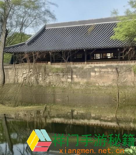 花蝴蝶张淑芬：艺术中的自在与立异探究，展示春风般温暖的创造力气