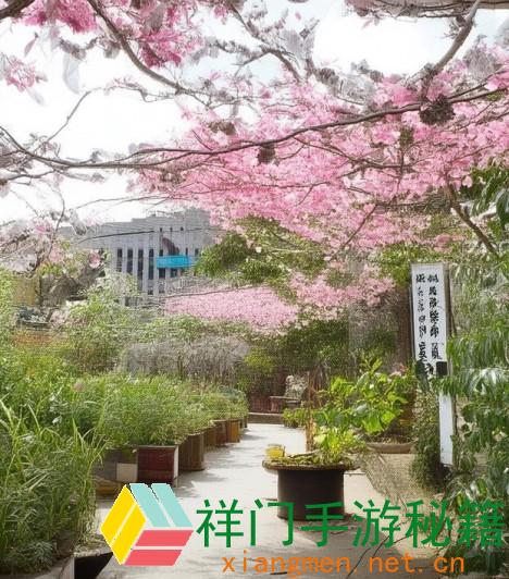 魅影直播值得买吗？渠道的安稳性、安全性以及用户点评怎么：深度解析