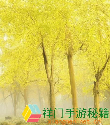 少女们在B站展示特性：怎么挑选与调配B站服饰