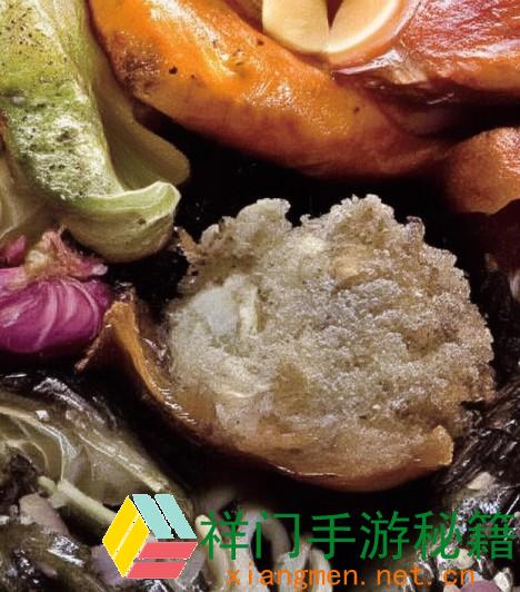 秦雨罗老旺6的音乐魅力全解析：从风格到现场体现，深入探讨其成功之道