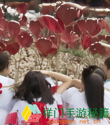 女婿有劲枪枪究竟小说免费观看，肯定让你恋恋不舍