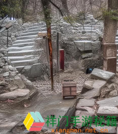 鲁大师视频播映全攻略 免费畅享精彩内容的最佳挑选