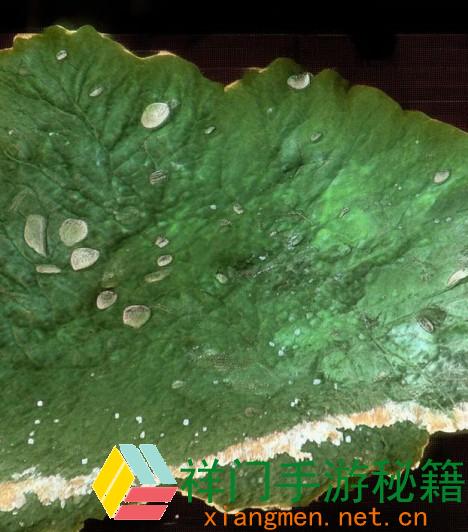 QQ弹弹上下颤动劲带来的趣味与应战探秘