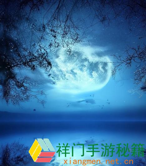 无人公园的狂野 直装版-无人公园的狂野探险直装版敞开奇幻之旅尽享自在与冒险