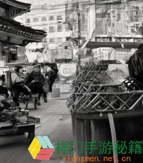 JavaparserHD我国乱码视频在线观看—JavaparserHD带你畅游我国乱码视频国际，轻松解析视频内容与格局