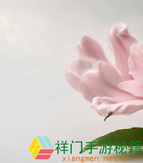 亚洲无人区码卡二卡三卡四卡字幕免费观看