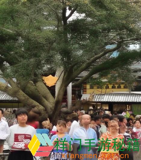 日和是不是男的—日和性别之谜揭晓 男性身份引发热议与评论
