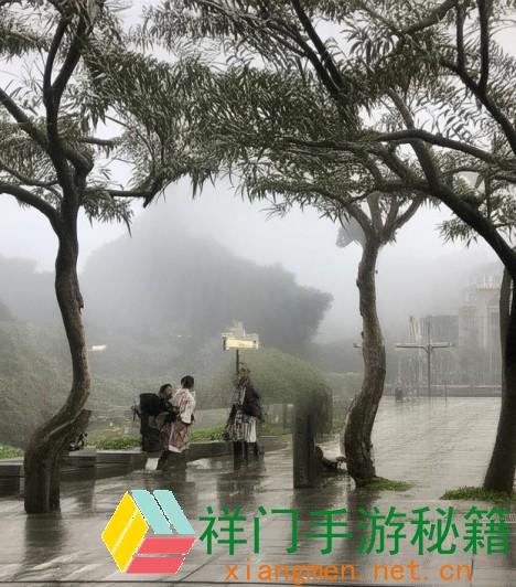 金莲教威望进步之路每日使命攻略与心得共享